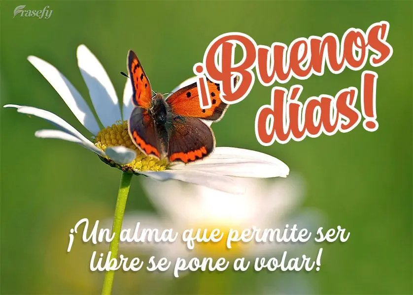 ¡Un alma que permite ser libre se pone a volar! ¡Buenos días!