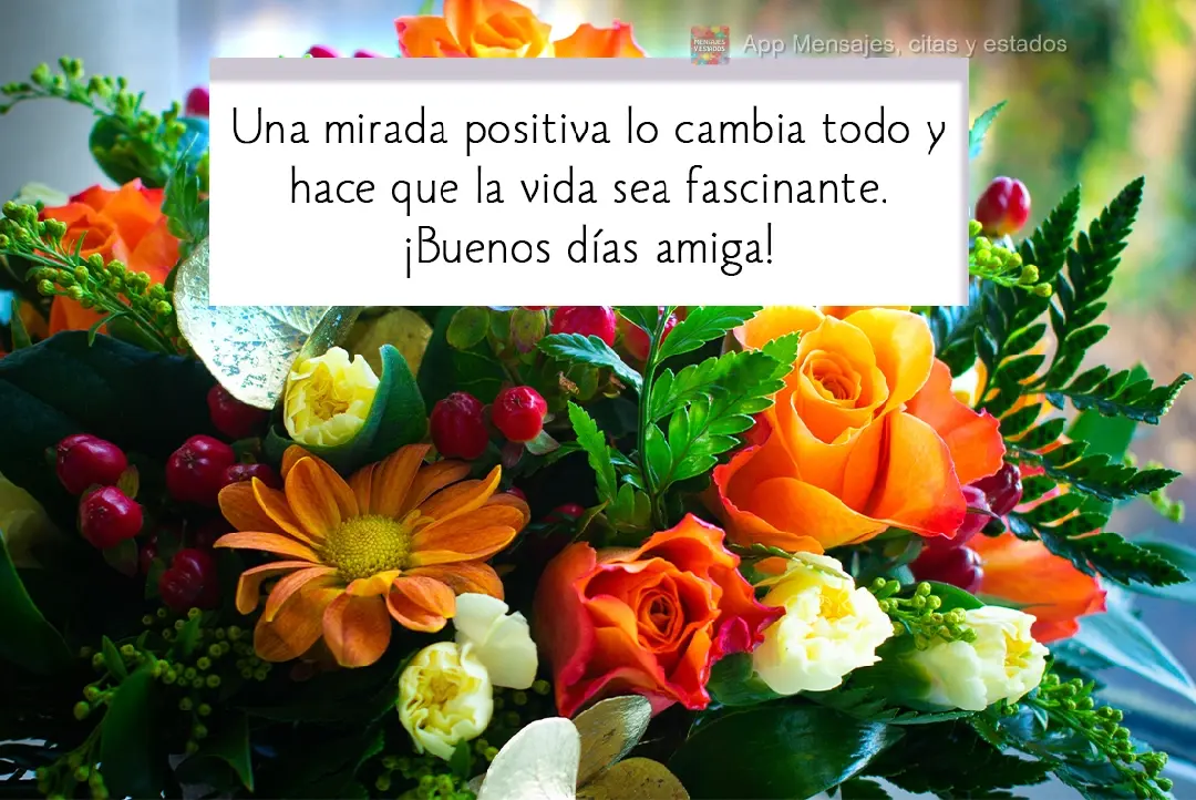 Una mirada positiva lo cambia todo y hace que la vida sea fascinante. ¡Buenos días amiga!