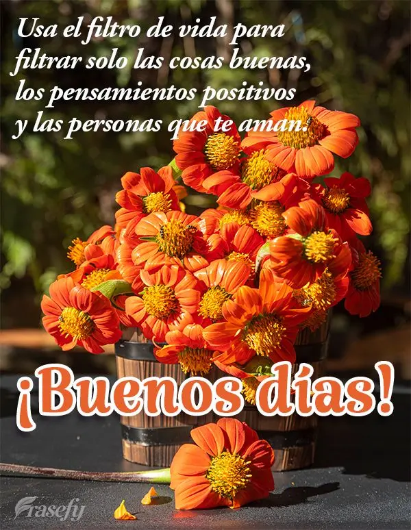 Usa el filtro de vida para filtrar solo las cosas buenas, los pensamientos positivos y las personas que te aman. ¡Buenos días!
