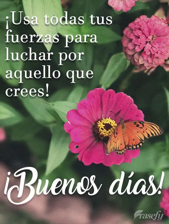 ¡Usa todas tus fuerzas para luchar por aquello que crees! ¡Buenos días!