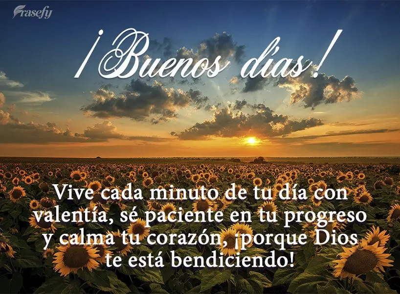 Vive cada minuto de tu día con valentía, sé paciente en tu progreso y calma tu corazón, ¡porque Dios te está bendiciendo! ¡Buenos días!