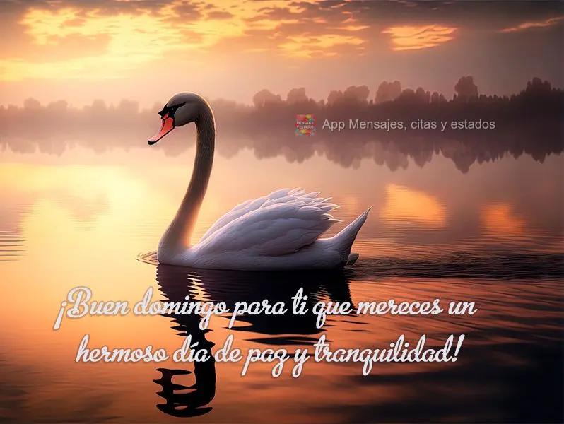 ¡Buen domingo para ti que mereces un hermoso día de paz y tranquilidad! 