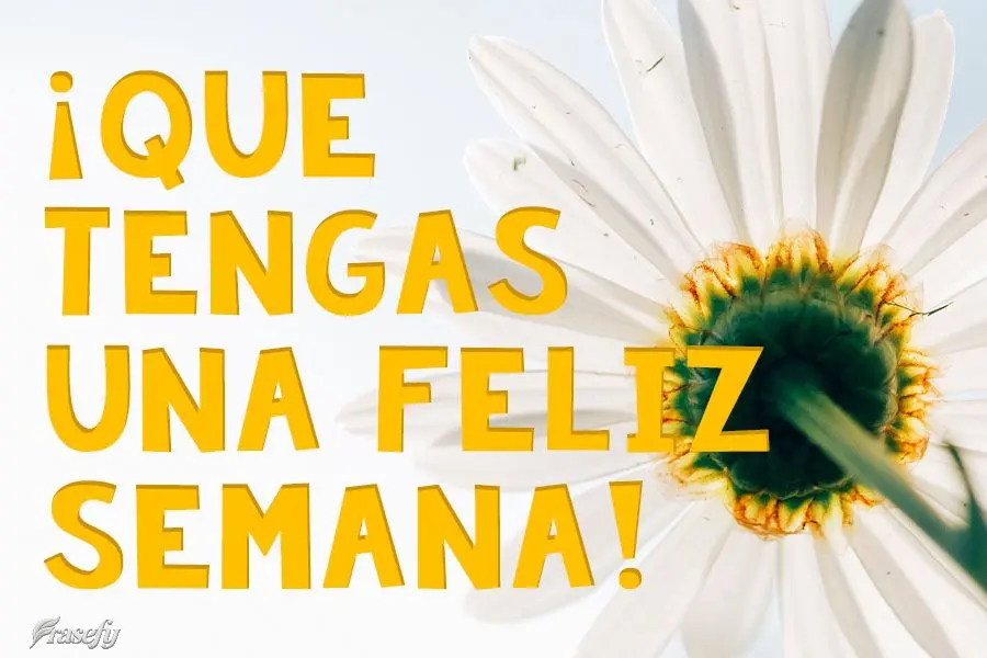 ¡Que tengas una feliz semana!