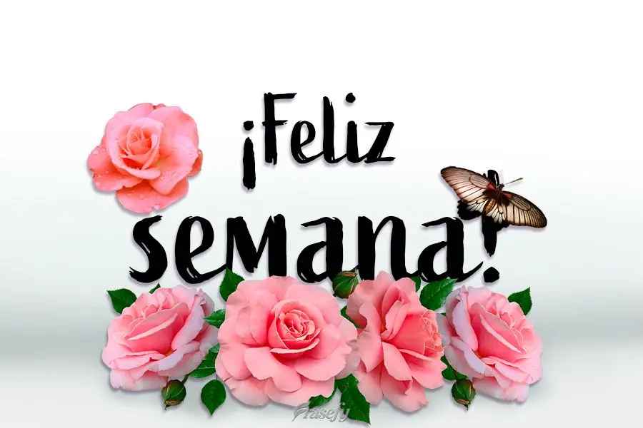 ¡Feliz semana!