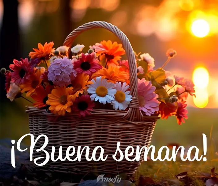 ¡Buena semana!