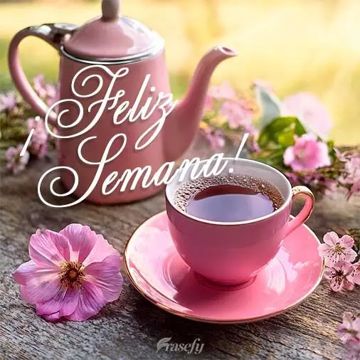 ¡Feliz semana!