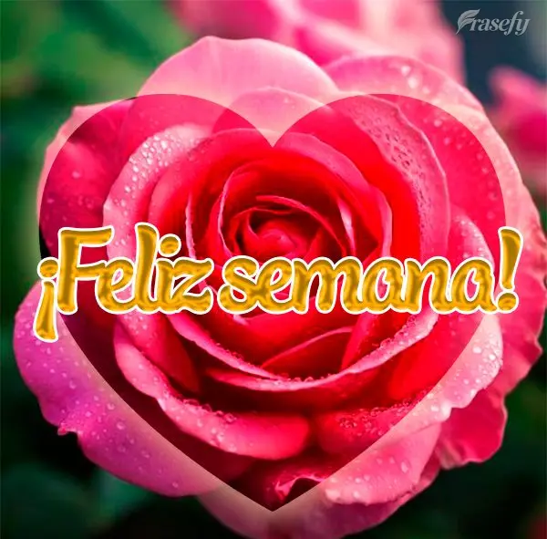 ¡Feliz semana!