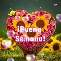 ¡Buena semana!