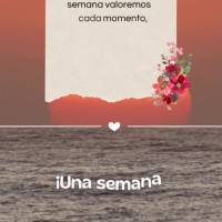 Cada día es una nueva oportunidad para ser feliz. Que esta semana valoremos cada momento, cada persona y cada experiencia. Que la felicidad sea nuestra ...