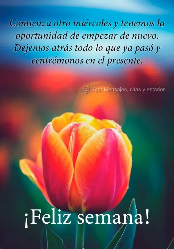 Comienza otro miércoles y tenemos la oportunidad de empezar de nuevo. Dejemos atrás todo lo que ya pasó y centrémonos en el presente. ¡Feliz semana!...