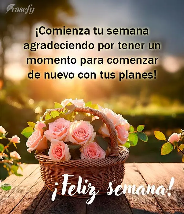 ¡Comienza tu semana agradeciendo por tener un momento para comenzar de nuevo con tus planes! ¡Feliz semana!