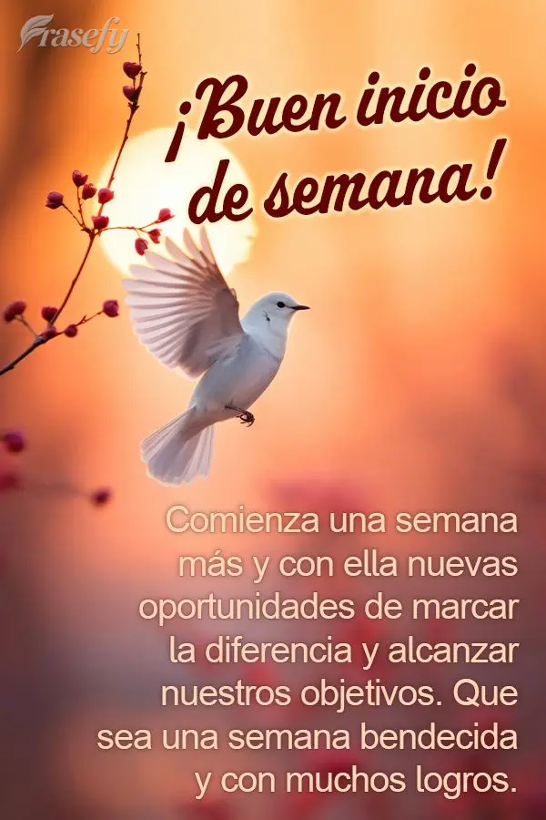 Comienza una semana más y con ella nuevas oportunidades de marcar la diferencia y alcanzar nuestros objetivos. Que sea una semana bendecida y con muchos...