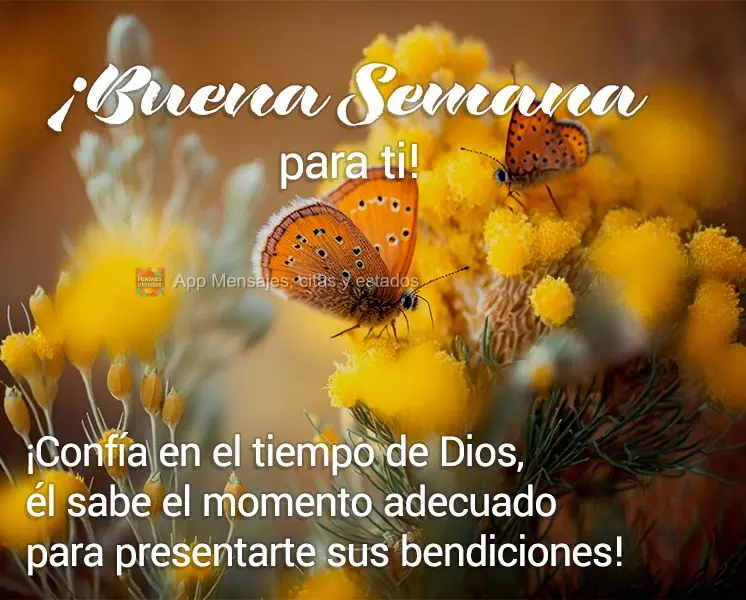 ¡Confía en el tiempo de Dios, él sabe el momento adecuado para presentarte sus bendiciones! ¡Buena semana para ti!