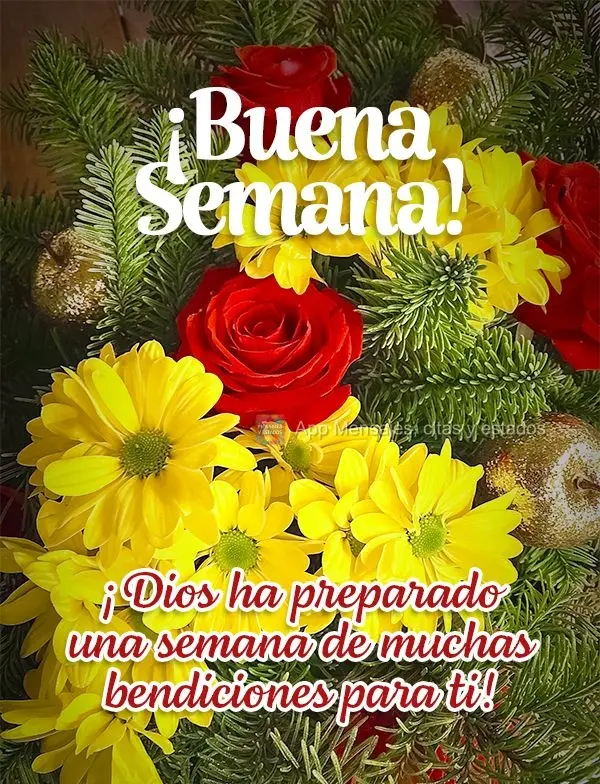 ¡Dios ha preparado una semana de muchas bendiciones para ti! ¡Buena semana!