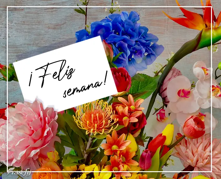 ¡Feliz semana!