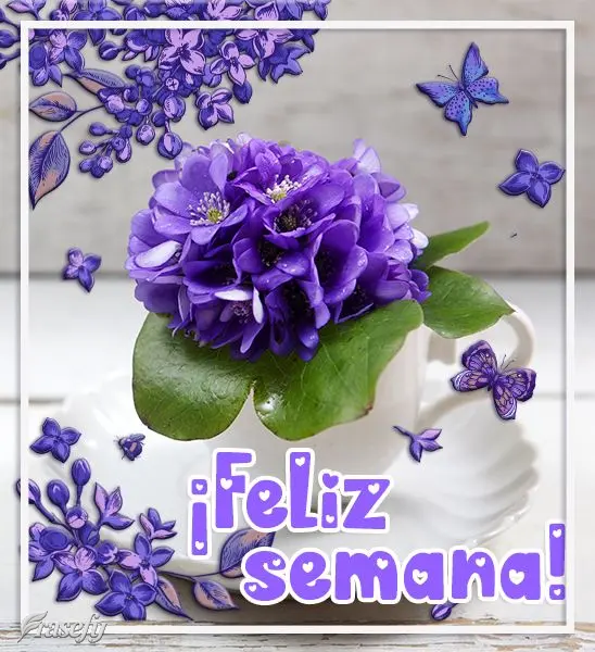 ¡Feliz semana!