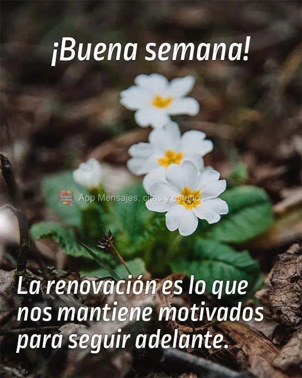 La renovación es lo que nos mantiene motivados para seguir adelante. ¡Buena semana!