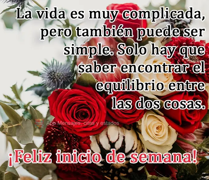La vida es muy complicada, pero también puede ser simple. Solo hay que saber encontrar el equilibrio entre las dos cosas. ¡Feliz inicio de semana!
