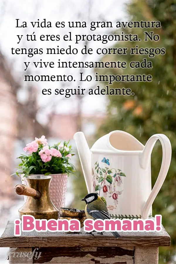 La vida es una gran aventura y tú eres el protagonista. No tengas miedo de correr riesgos y vive intensamente cada momento. Lo importante es seguir adel...