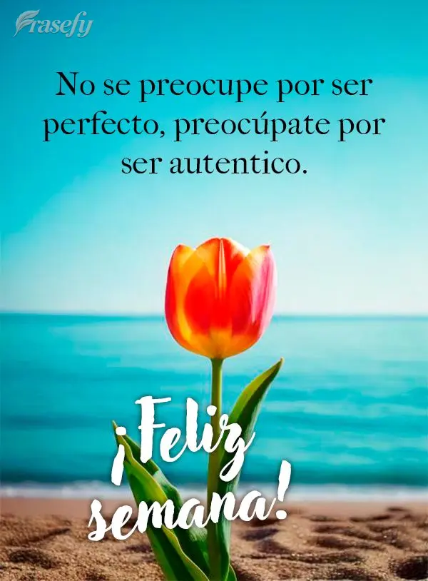No se preocupe por ser perfecto, preocúpate por ser autentico. ¡Feliz semana!