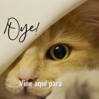 ¡Oye! Vine aquí para decir: ¡Buena semana para ti!