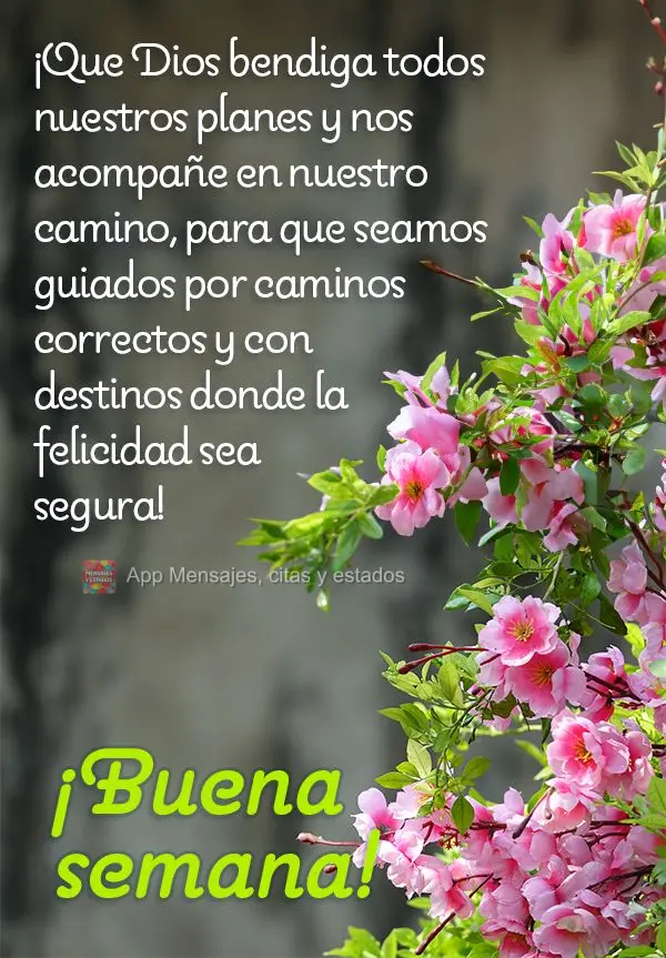¡Que Dios bendiga todos nuestros planes y nos acompañe en nuestro camino, para que seamos guiados por caminos correctos y con destinos donde la felicid...