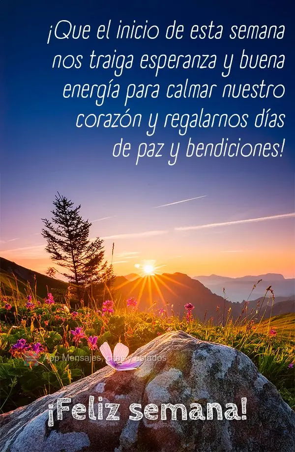 ¡Que el inicio de esta semana nos traiga esperanza y buena energía para calmar nuestro corazón y regalarnos días de paz y bendiciones! ¡Feliz semana...