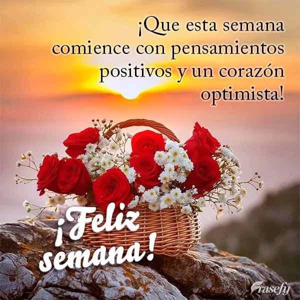 ¡Que esta semana comience con pensamientos positivos y un corazón optimista! ¡Feliz semana!