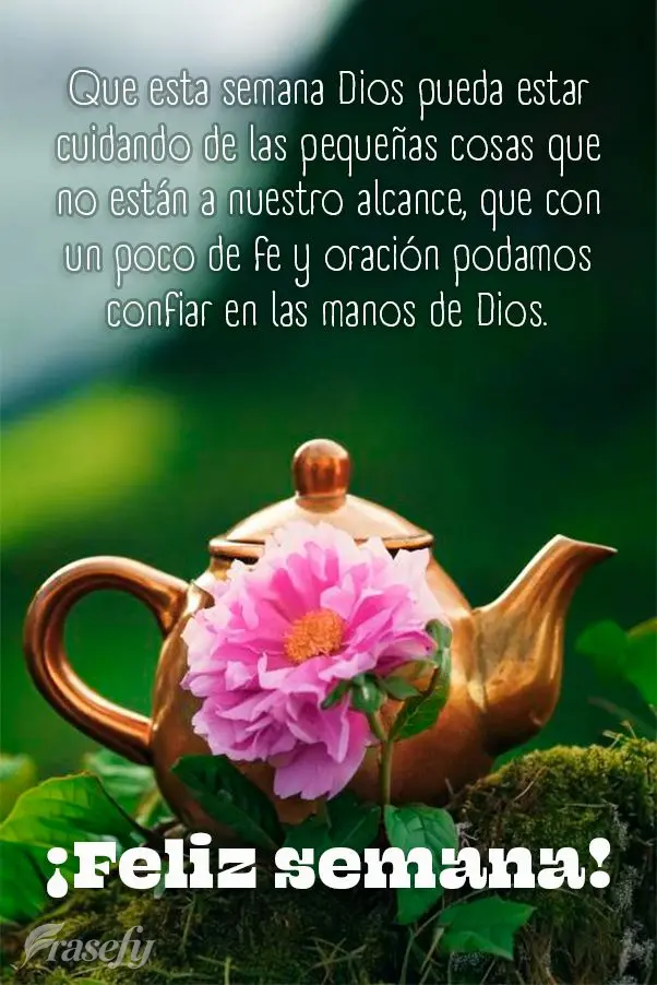 Que esta semana Dios pueda estar cuidando de las pequeñas cosas que no están a nuestro alcance, que con un poco de fe y oración podamos confiar en las...