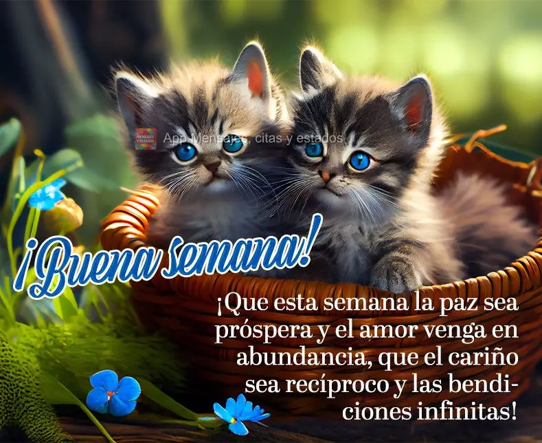¡Que esta semana la paz sea próspera y el amor venga en abundancia, que el cariño sea recíproco y las bendiciones infinitas! ¡Buena semana!