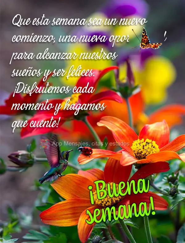 Que esta semana sea un nuevo comienzo, una nueva oportunidad para alcanzar nuestros sueños y ser felices. ¡Disfrutemos cada momento y hagamos que cuent...