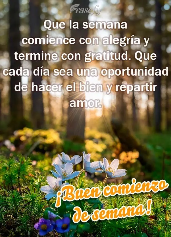 Que la semana comience con alegría y termine con gratitud. Que cada día sea una oportunidad de hacer el bien y repartir amor. ¡Buen comienzo de semana...