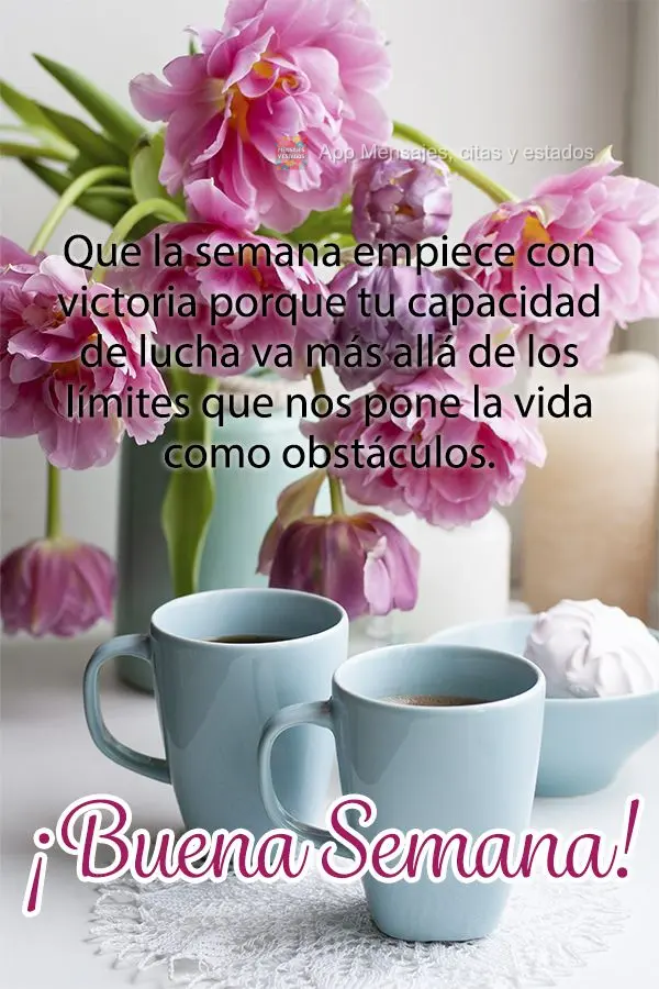 Que la semana empiece con victoria porque tu capacidad de lucha va más allá de los límites que nos pone la vida como obstáculos. ¡Buena semana!