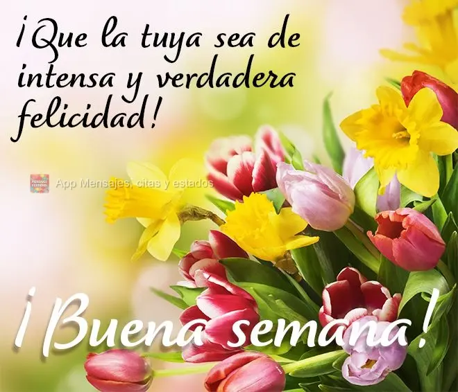 ¡Que la tuya sea de intensa y verdadera felicidad! ¡Buena semana!