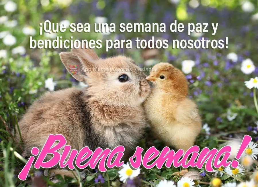¡Que sea una semana de paz y bendiciones para todos nosotros! ¡Buena semana!