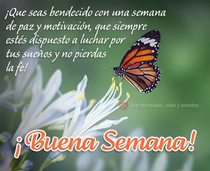 ¡Que seas bendecido con una semana de paz y motivación, que siempre estés dispuesto a luchar por tus sueños y no pierdas la fe! ¡Buena semana!