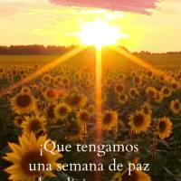 ¡Que tengamos una semana de paz y bendiciones y que nunca nos falte la fe! ¡Buena semana!