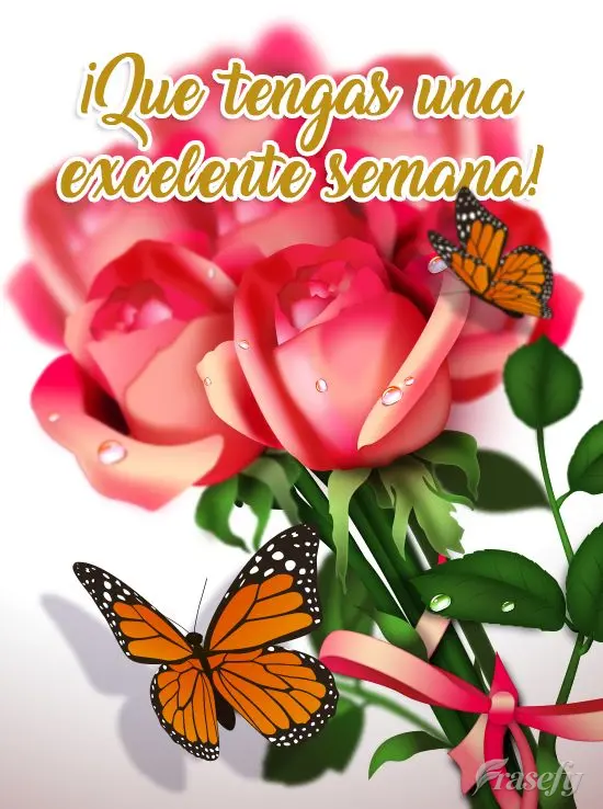 ¡Que tengas una excelente semana!