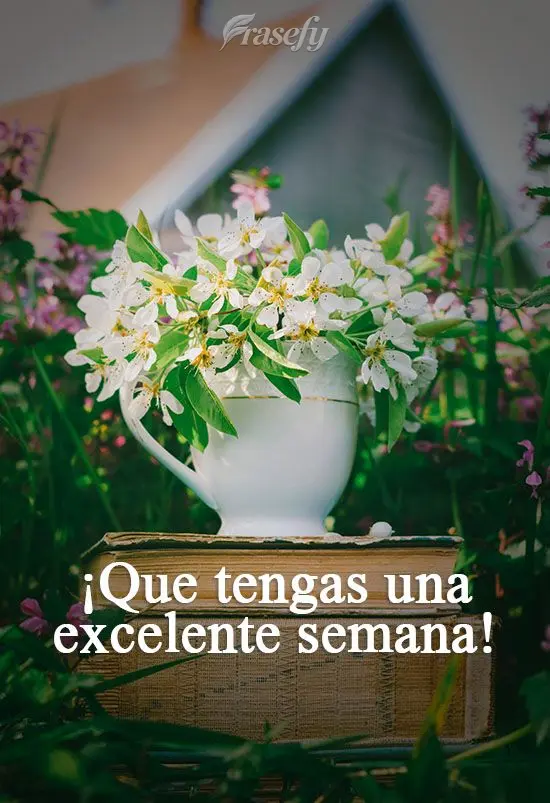 ¡Que tengas una excelente semana!