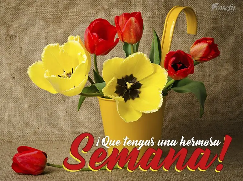 ¡Que tengas una hermosa semana!