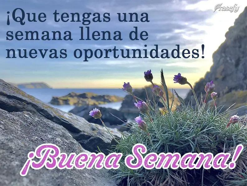 ¡Que tengas una semana llena de nuevas oportunidades! ¡Buena semana!