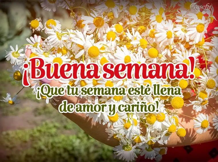 ¡Que tu semana esté llena de amor y cariño! ¡Buena semana!