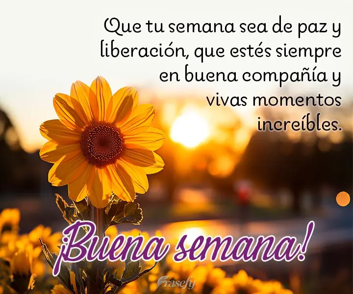Que tu semana sea de paz y liberación, que estés siempre en buena compañía y vivas momentos increíbles. ¡Buena semana!