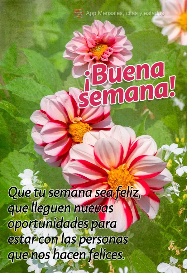 Que tu semana sea feliz, que lleguen nuevas oportunidades para estar con las personas que nos hacen felices. ¡Buena semana!