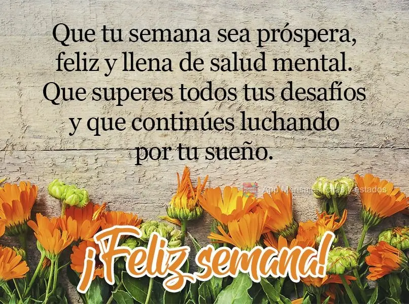 Que tu semana sea próspera, feliz y llena de salud mental. Que superes todos tus desafíos y que continúes luchando por tu sueño. ¡Feliz semana!