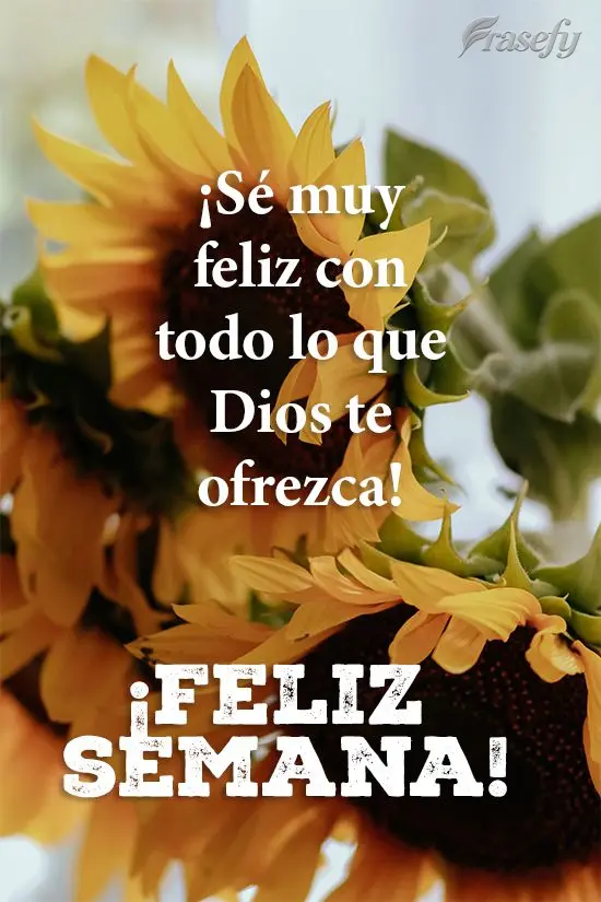 ¡Sé muy feliz con todo lo que Dios te ofrezca! ¡Feliz semana!