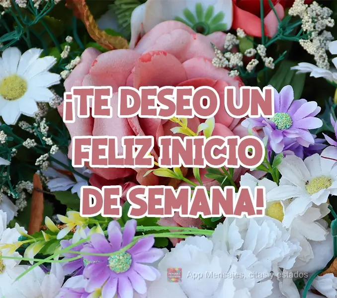 ¡Te deseo un feliz inicio de semana!