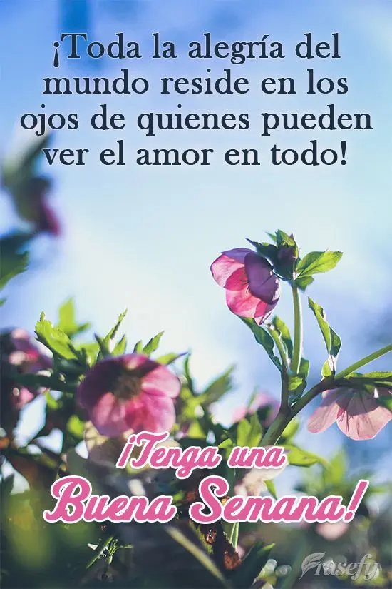 ¡Toda la alegría del mundo reside en los ojos de quienes pueden ver el amor en todo! ¡Tenga una buena semana!