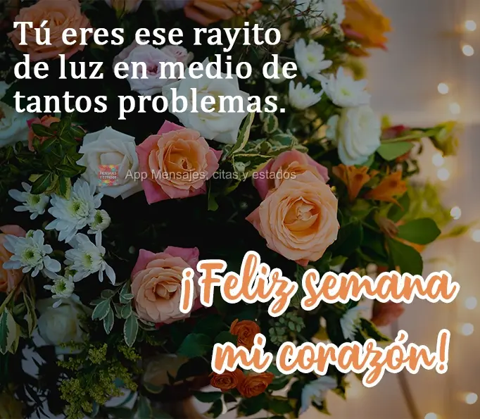 Tú eres ese rayito de luz en medio de tantos problemas. ¡Feliz semana mi corazón!