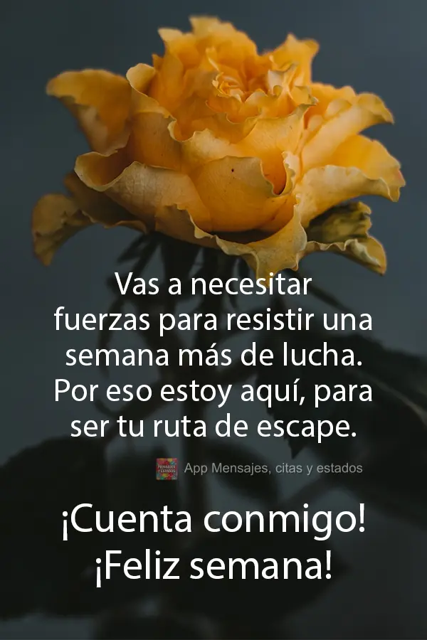 Vas a necesitar fuerzas para resistir una semana más de lucha. Por eso estoy aquí, para ser tu ruta de escape. ¡Cuenta conmigo! ¡Feliz semana!